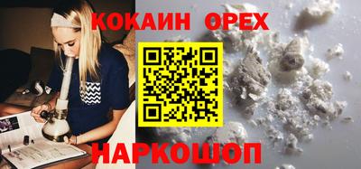 крисы Будённовск