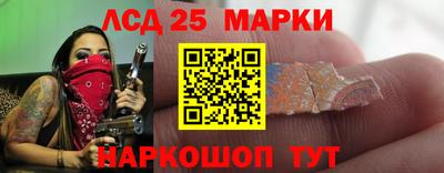 крисы Будённовск