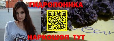крисы Будённовск