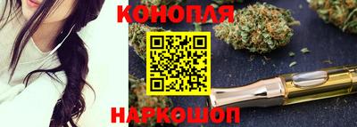 крисы Будённовск