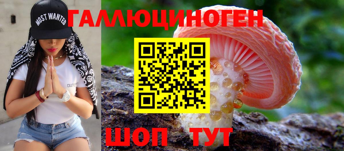 Псилоцибиновые грибы мицелий Азов